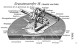 Thumbs/tn_gw16_08.jpg